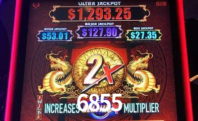 Descubra a Essência do 6855: Nossa História e Compromissos